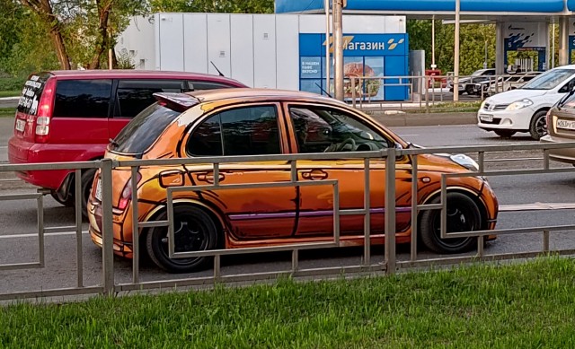 Прикольный окрас