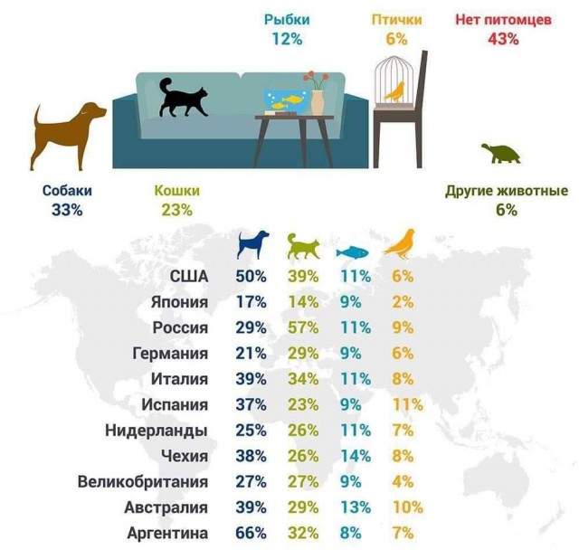 Согласно опросу владельцев домашних животных, в России кошки почти вдвое популярнее собак