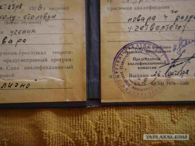 Кто чем на кухне орудует?