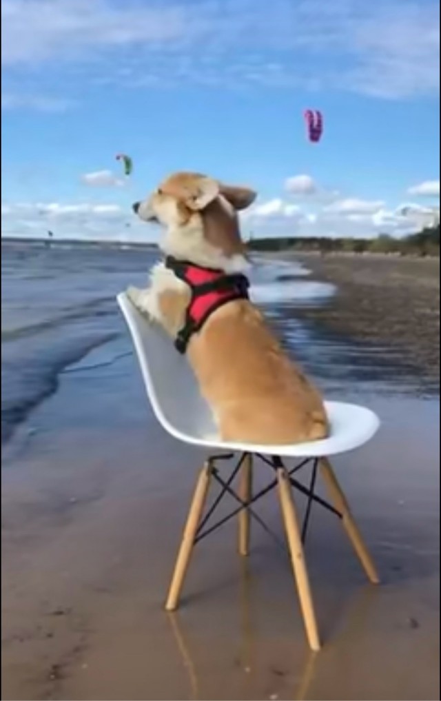 Хоть и пятница, ну да ладно