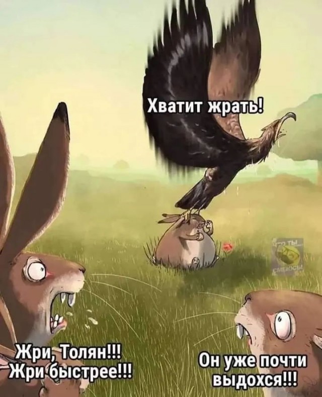Завалялось тут случайно немного забавных картинок
