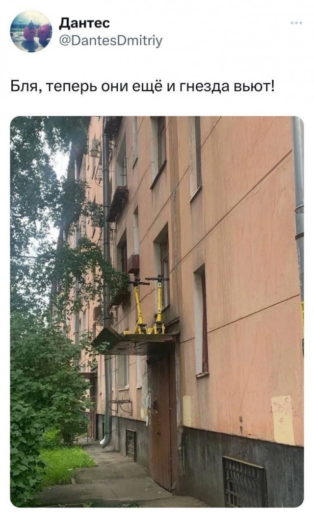 Никакие картинки и тексты