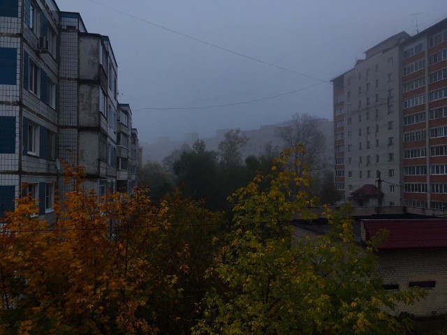 СлонотЯп-2. Итоги