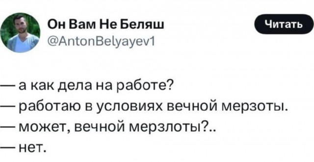 Немного забавных картинок от 13.10.2024