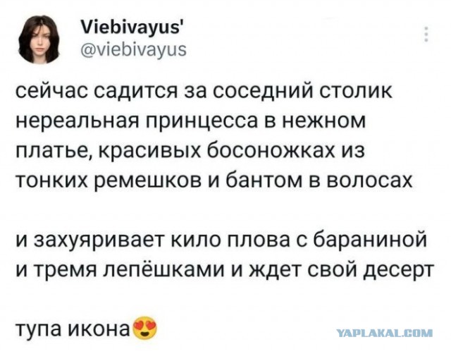 Веселые картинки на пятницу (15.11)