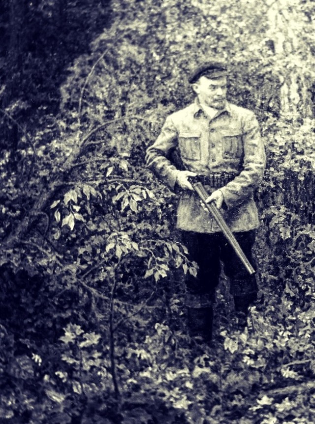 Сожгли шалаш Ленина в Разливе