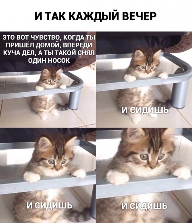 Завалялось тут случайно немного забавных картинок