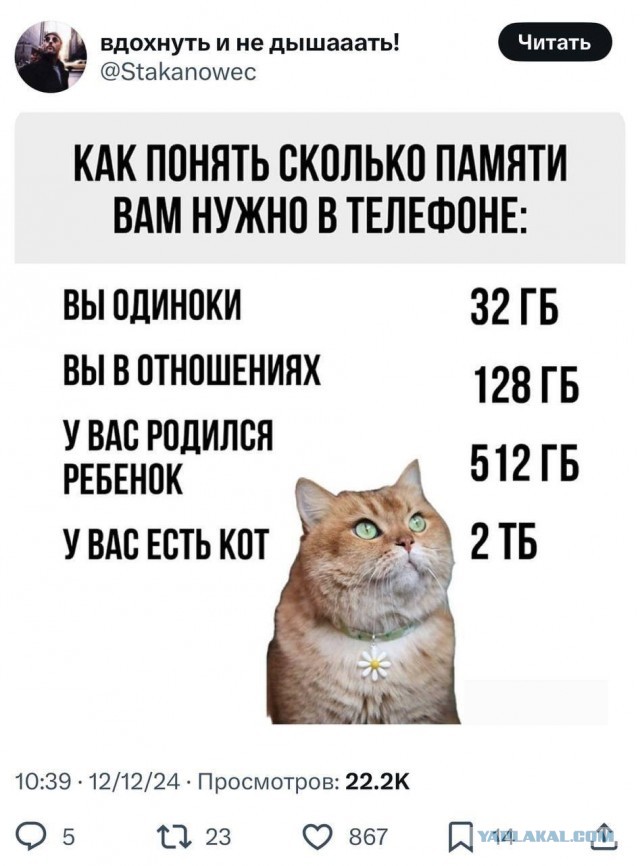 Забавные картинки, шутки из этих ваших интернетов