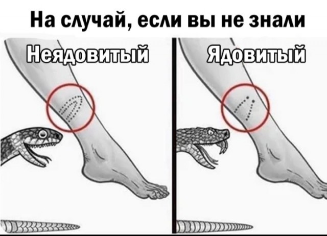 Сброс балласта. Картинки
