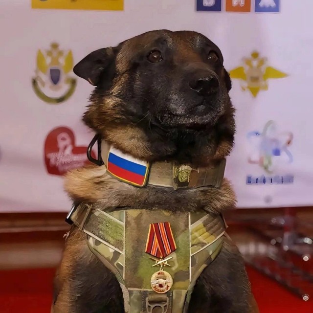 За службу в спецназе