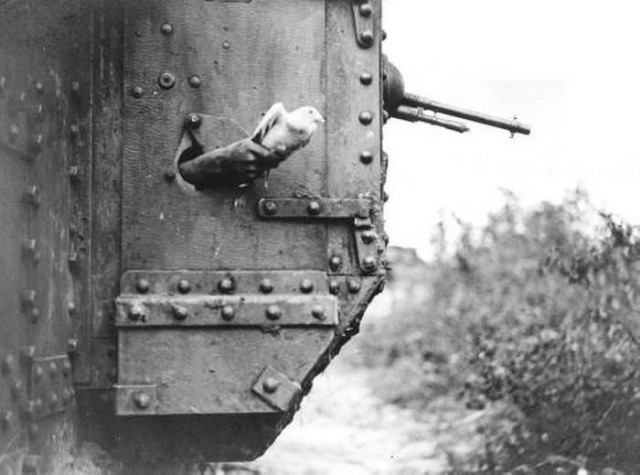 Лица, события, эпохи: редкие исторические фотографии, которые перенесут вас в другое время