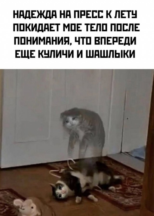 Веселые картинки в последний день февраля (28.02)