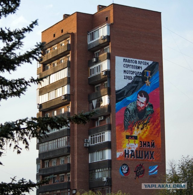 Украсили стену
