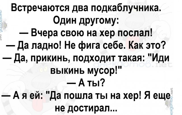 Всё что нужно знать о восточной сказке