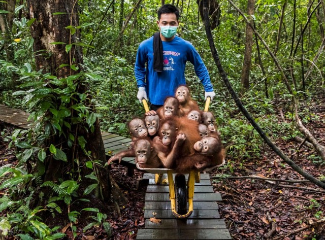 Заряд позитива: взгляните на 25 самых забавных снимков