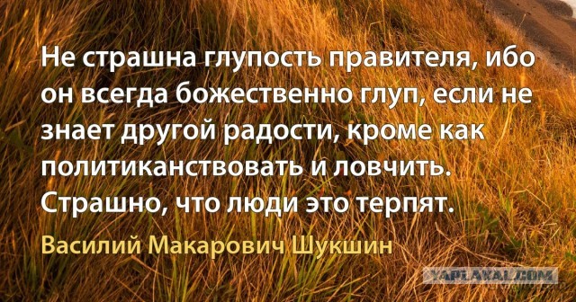 Традиционные ценности