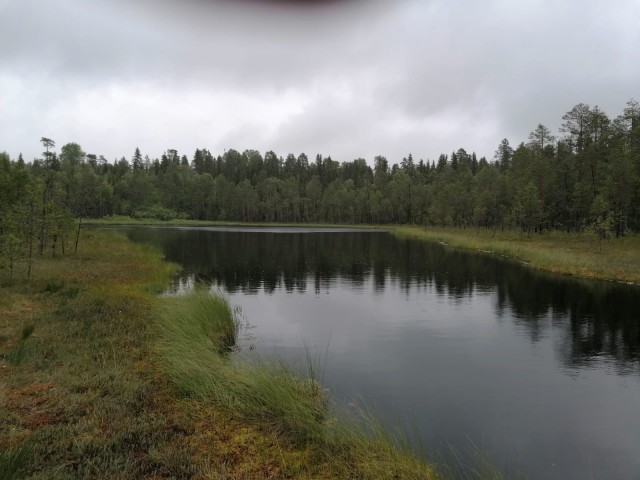 Литболталка