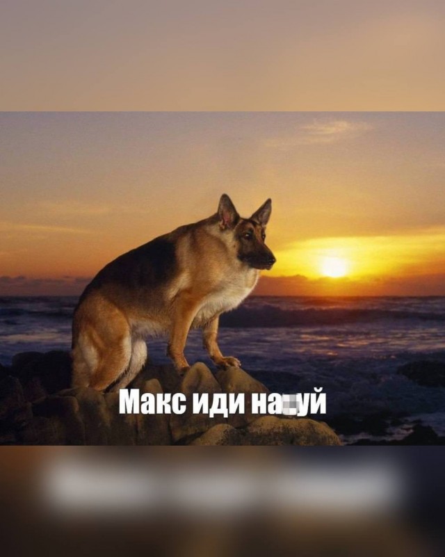 Сотрудникам MAX выдали блокноты вдохновлённые мемом "Макс, иди нахуй".
