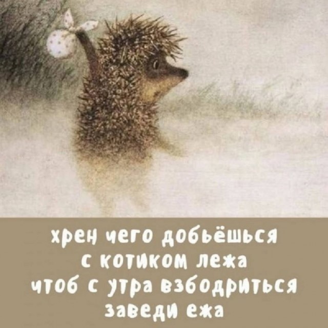 Немного картинок