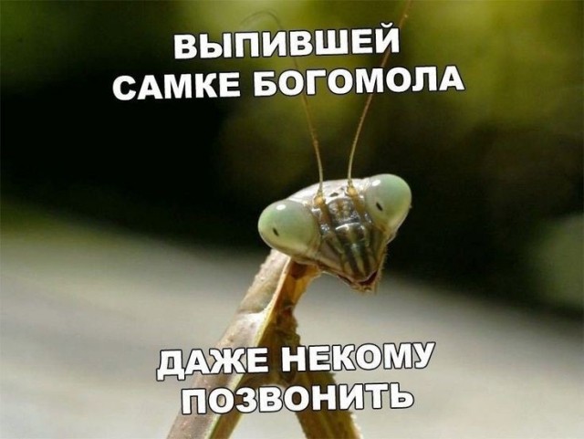Отвали, я в засаде