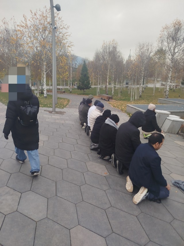 Территорию помечают, себя показывают