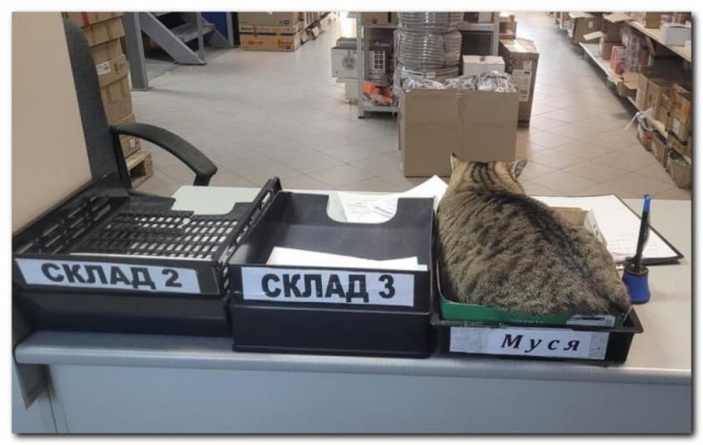 Смотритель⁠