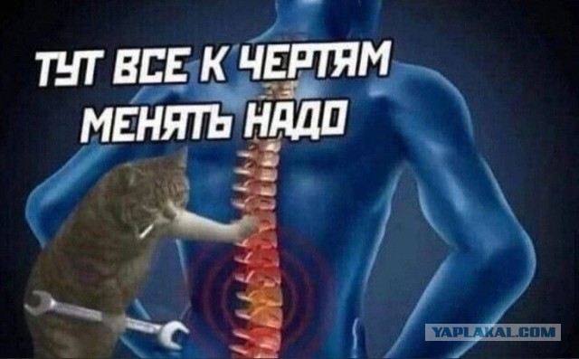 Спиноболь