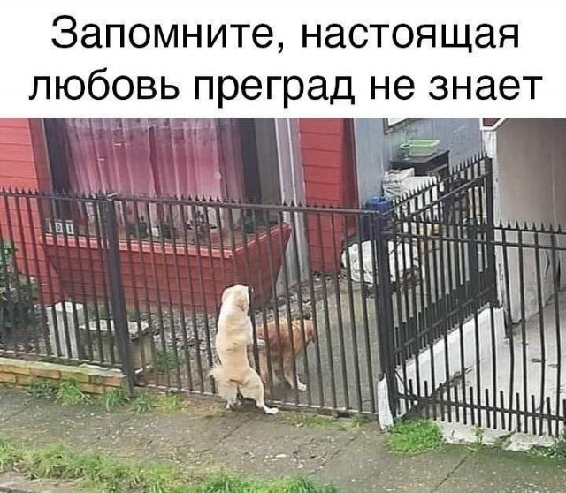Картинки для деградации 191 (разной степени свежести)