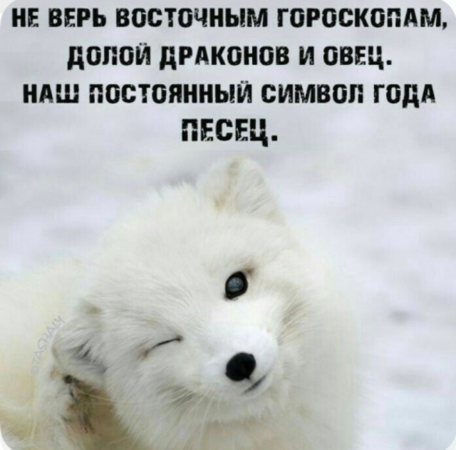 Картинки для деградации 228 (разной степени свежести)