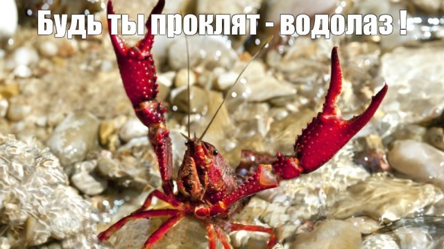Спасатели⁠⁠