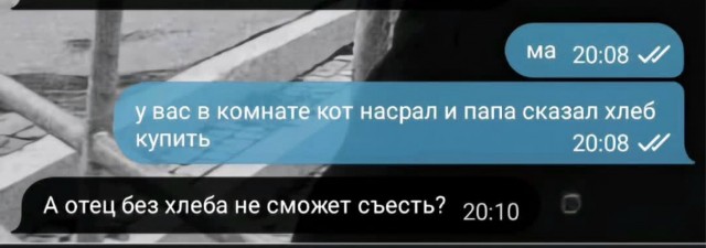 Веселые картинки в пятницу (14.08)