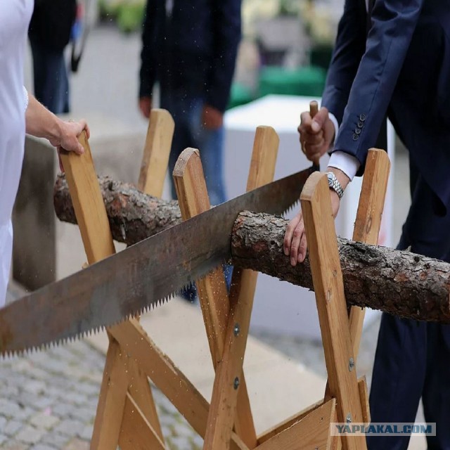 Интересный факт