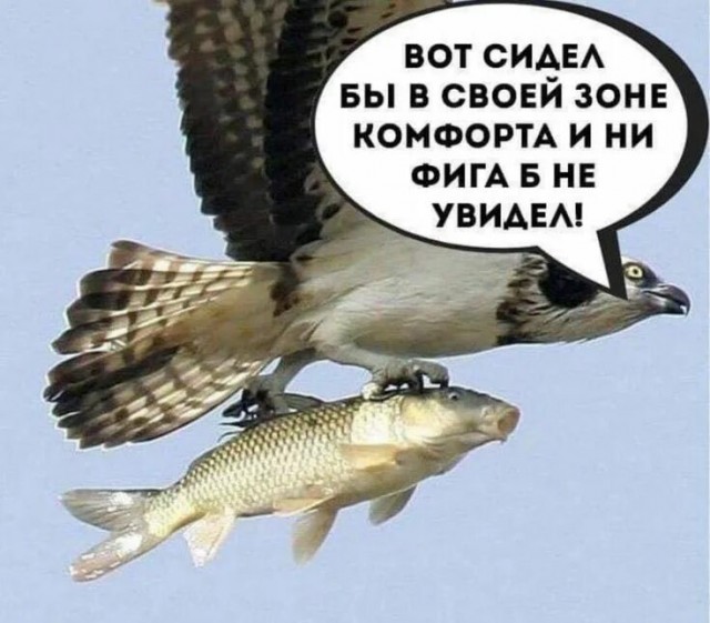 Большой куш