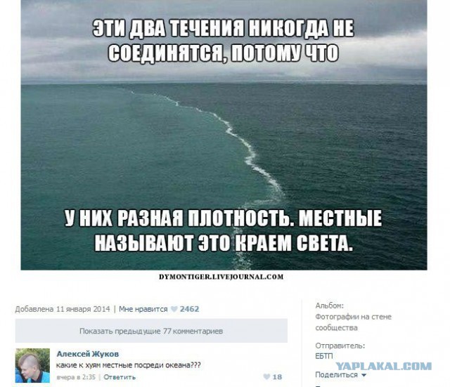 Смешные комментарии из социальных сетей