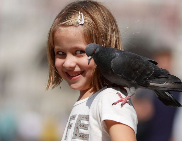 Подборка забавных и курьезных фотографий