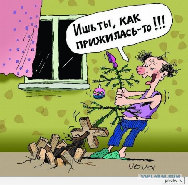 Вчера 12.04