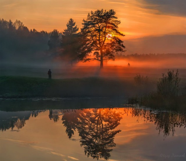 National Geographic,избранное...