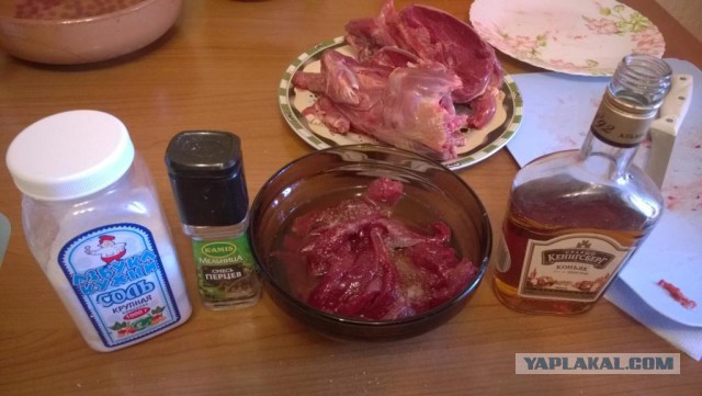 Утка по-Кенигсбергски, Гринпис проходит мимо!