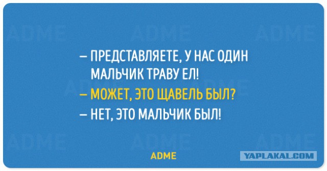 Картинки из интернета
