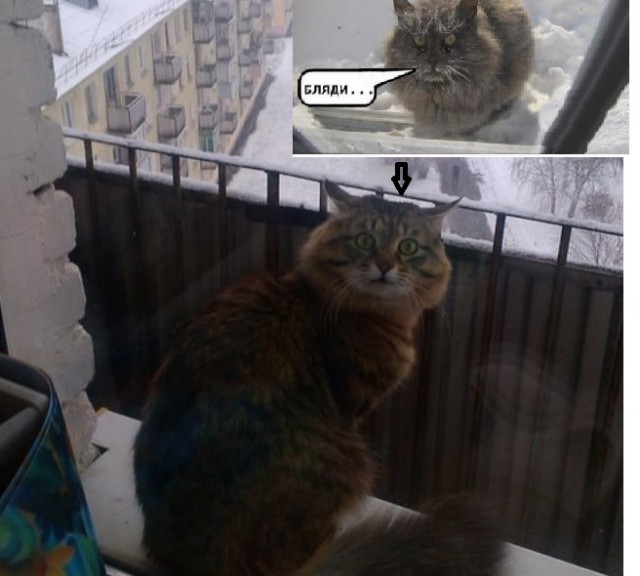 А за окном...