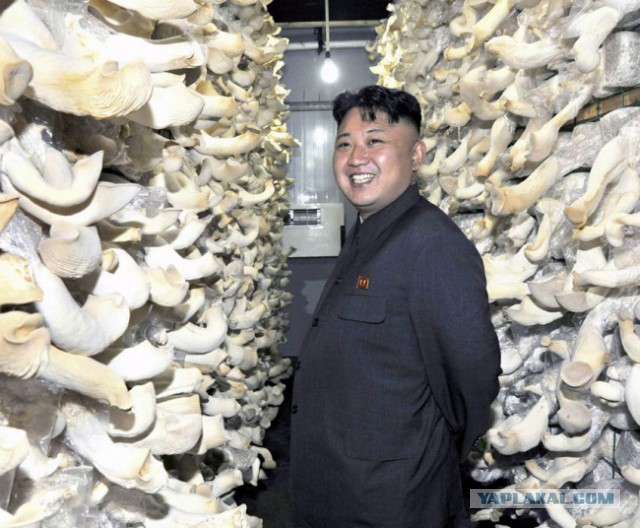 Большая подборка фото Любимого Маршала!