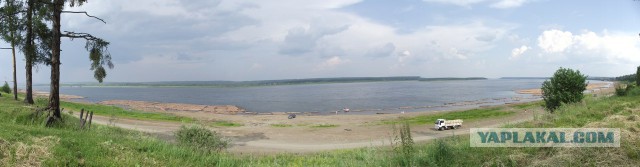 Как выгружают лесоматериалы с баржи в Канаде