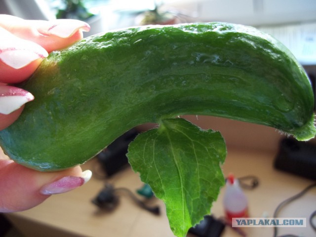 Картинки на среду