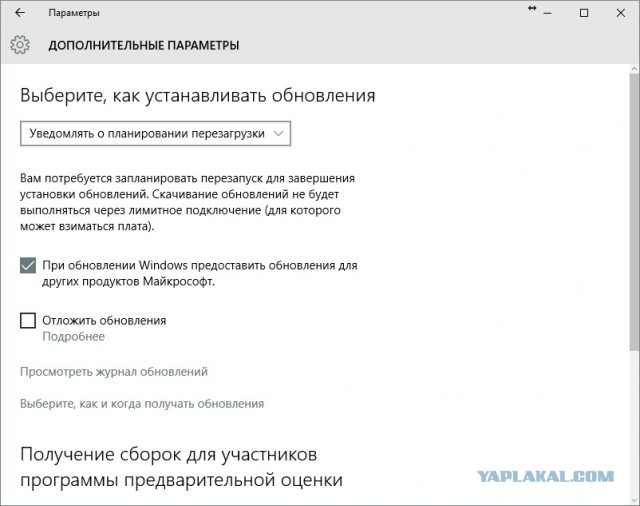 Как windows 10 может накалять людей.