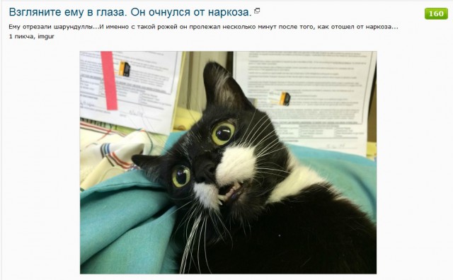 Короче, ты не просто спал...это был наркоз...И мы отрезали тебе шары...