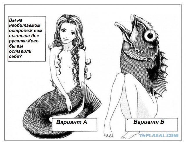 Где живут самые красивые девушки мира?