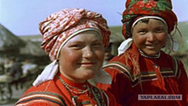 Девчата Нижегородской Области