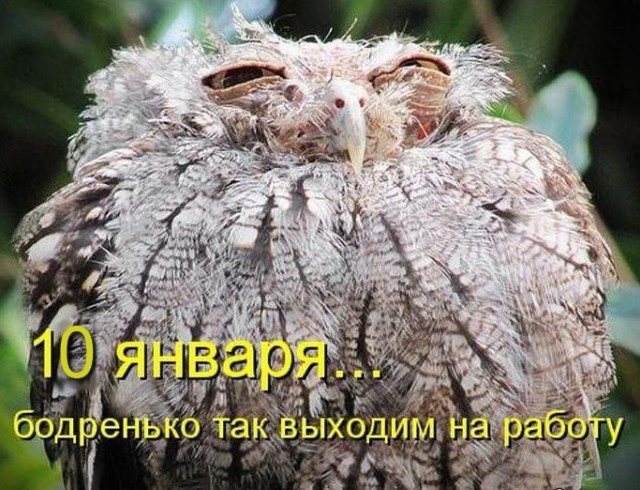 Картинки с сети