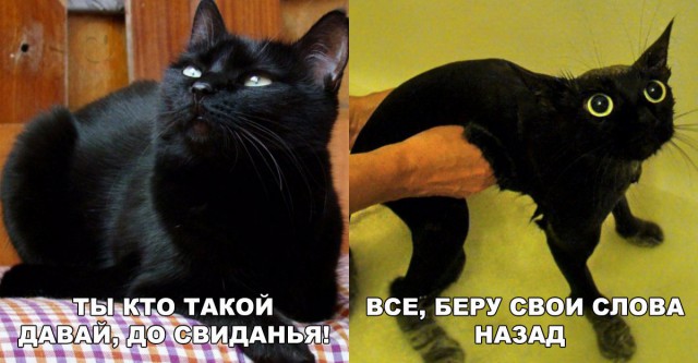 Набористый набор картинок