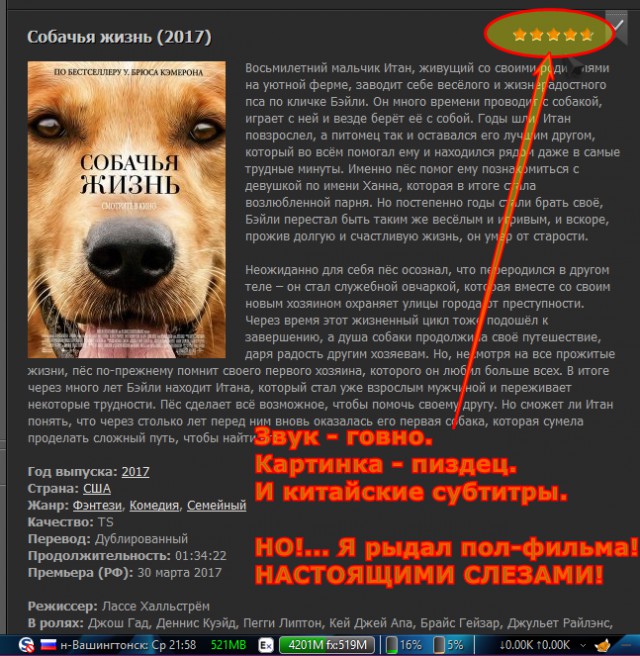 Кот кочегар и лабрадор.
